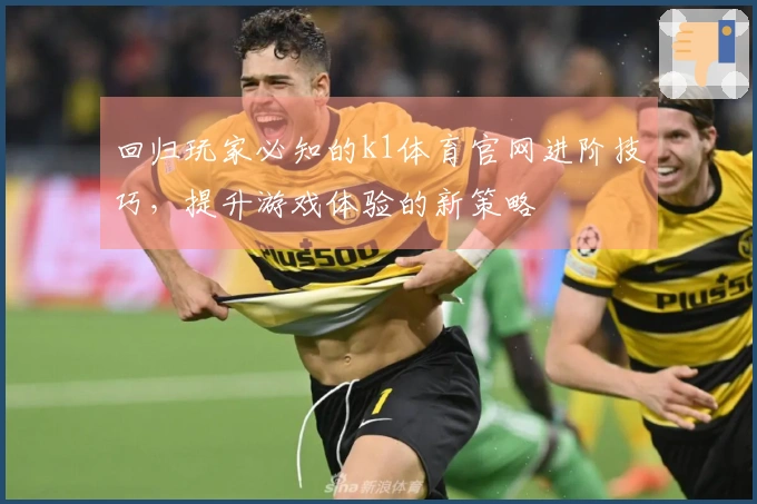 回归玩家必知的k1体育官网进阶技巧,提升游戏体验的新策略