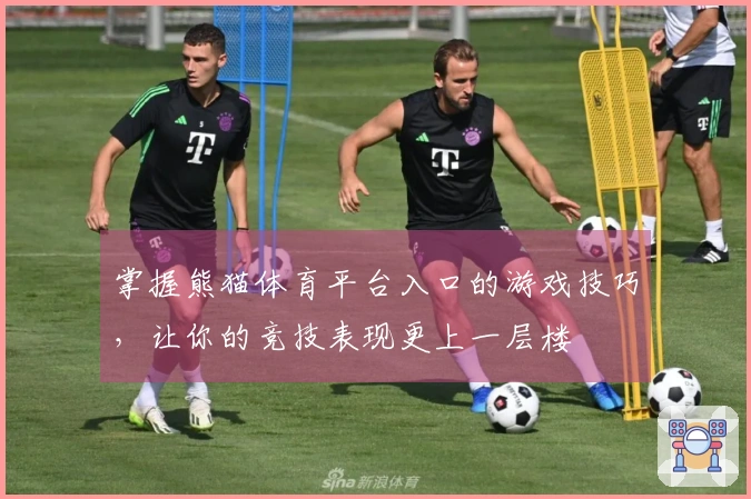 掌握熊猫体育平台入口的游戏技巧，让你的竞技表现更上一层楼