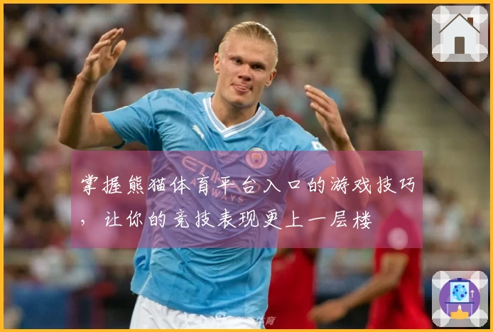 掌握熊猫体育平台入口的游戏技巧，让你的竞技表现更上一层楼