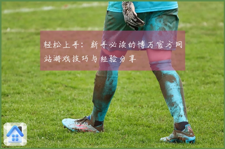 轻松上手:新手必读的博万官方网站游戏技巧与经验分享
