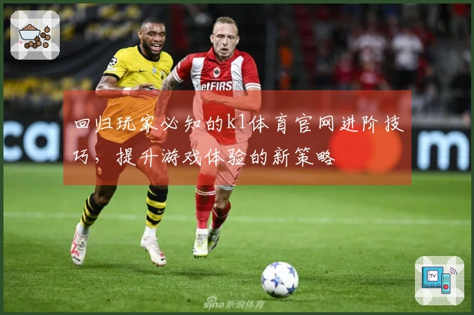 回归玩家必知的k1体育官网进阶技巧，提升游戏体验的新策略