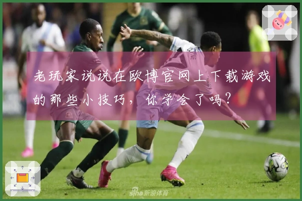 老玩家说说在欧博官网上下载游戏的那些小技巧，你学会了吗？