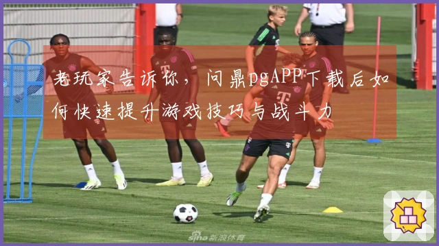 老玩家告诉你，问鼎pgAPP下载后如何快速提升游戏技巧与战斗力